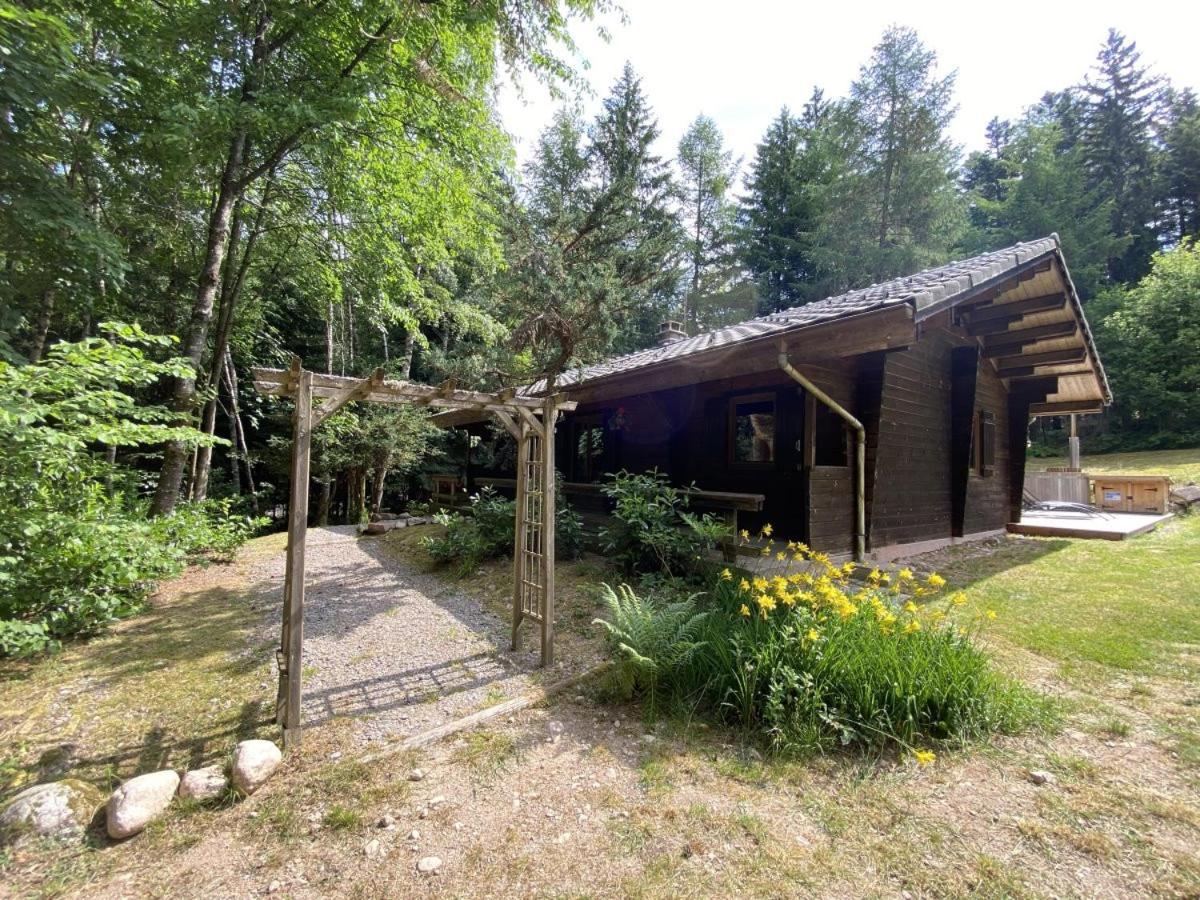 LE FISHING LODGE Chalet en bois La Bresse Extérieur photo