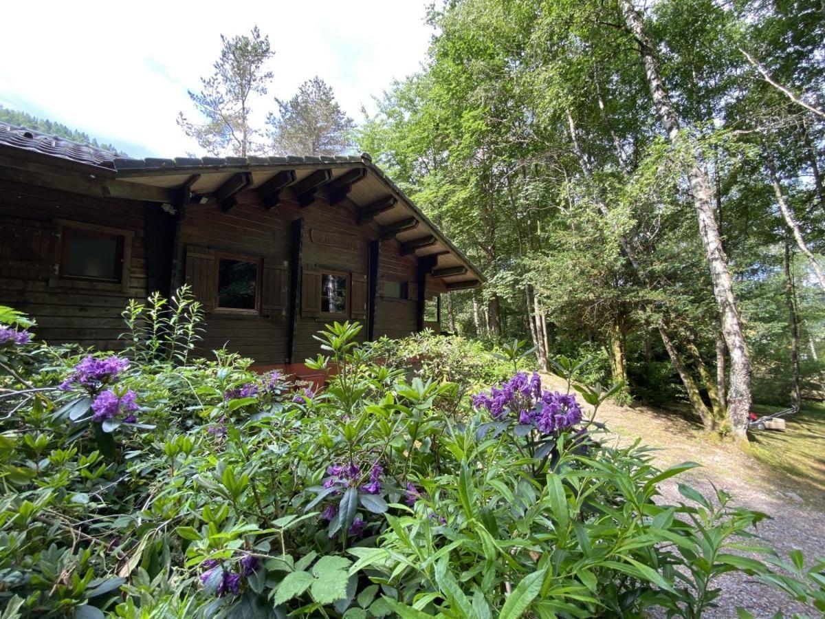 LE FISHING LODGE Chalet en bois La Bresse Extérieur photo