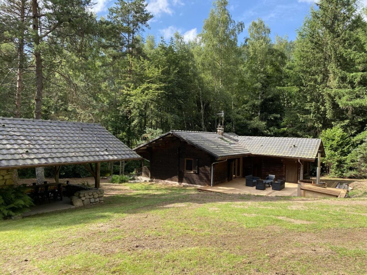 LE FISHING LODGE Chalet en bois La Bresse Extérieur photo